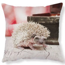 Ljojo Lovely Little Hedgehog Design Cushion Cover for 45*45cm Sofa Pillow