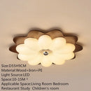 Minimalist Ceiling Lamp Modern Luminaires for Living Room Bedroom Decor by Ljojo