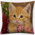 Cute Cat Series Pillowcase for Home Decor by Ljojo