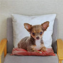 Chihuahua Dog Printed Cushion Cover by Ljojo for Home Decor
