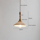 Ljojo LED Pendant Light Fixture for Home Decor Bedroom Living Dining Room