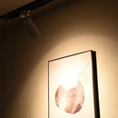 Ljojo LED Spotlight Ceiling Light for Modern Living Spaces