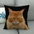 Fat Orange Cat Print Cushion Cover 45x45cm by Ljojo: Animal Pattern Home Decor Pillowcase