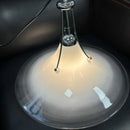 Ljojo Magnolia Glass Pendant Light - Modern LED Bedroom Dining Lamp