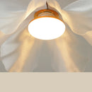 Nordic Acrylic Pendant Lamp Modern LED Chandelier Indoor Decor Hanging Lighting by Ljojo