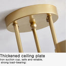 Ljojo LED Ceiling Light: Simple, Warm, Modern Lighting for Home and Restaurant