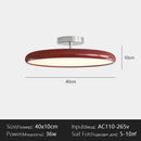 Nordic Modern LED Ceiling Light for Bedroom Study Room Living Room Interior Decoration by Ljojo