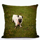 French Bulldog & Pug Dog Pillowcase by Ljojo - Decorative Animal Polyester Cushion Cover
