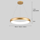 LED Ring Pendant Light Modern Iron Hanging Lamp Bedroom Dining Lighting - Ljojo