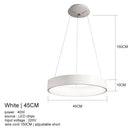 Modern Minimalist Aluminum Ring LED Pendant Light Chandelier for Bedroom Living Room by Ljojo