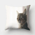 Cute Cat Print Cushion Cover for Sofa Decor by Ljojo