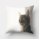 Cute Cat Print Cushion Cover for Sofa Decor by Ljojo