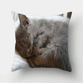 Cute Cat Print Cushion Cover for Sofa Decor by Ljojo