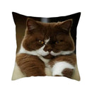 Cat Pattern Cushion Cover 45x45cm - Ideal Sofa & Home Decor Gift by Ljojo