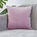 Ljojo Luxury Velvet Cushion Cover for Sofa Living Room Decor 45x45 30x50 50x50