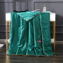 Ljojo Luxury Silk Quilt Queen Comforter Ultra-Soft Spring/Summer Satin Quilted High-End