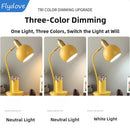 Ljojo Macaron Desk Lamp with LED Light and Pen Holder
