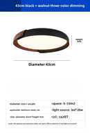 Ljojo LED Ceiling Light: Nordic Minimalist Design, Remote Controlled, Ideal for Bedroom, Living Room
