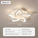 LED Ceiling Light Modern Acrylic Decor Lamp For Bedroom Living Room Study by Ljojo