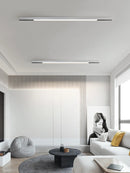 LED Ceiling Lamp for Living Room - Elegant Linear Lamps by Ljojo