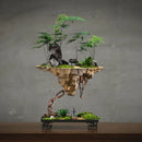 Ljojo™ Mangosteen Hanging Flower Pot for Home and Garden Decoration