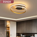 Ljojo LED Ceiling Lights: Modern Lighting Solution for Home Decor