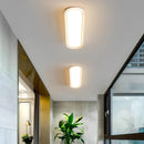 Ceiling Lights LED Modern Living Room Ljojo Plafonniers
