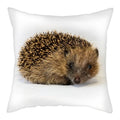 Hedgehog Print Pillow Cover for Home Sofa Decor 45X45cm - Ljojo