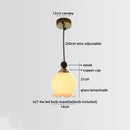 Ljojo LED Pendant Lights Wire Adjustable Nordic Modern Hanging Lamp