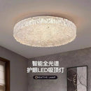 Ljojo Modern Minimalist Golden Resin Ceiling Lamp for Bedroom and Living Room Decor