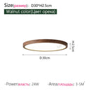 LED Ceiling Light Alexa Compatible Smart Minimalist Modern Living Room Bedroom Ljojo