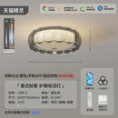 Luxury Glass Feather Ceiling Light for Master Bedroom by Ljojo