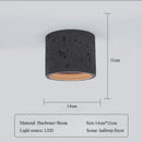 Ljojo LED Tube Light Ceiling Spotlight for Living Room Bedroom Corridor, Japanese Retro Style