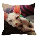 Cute Ljojo Sphinx Cat Cushion Cover 45X45cm - Home Sofa Decoration Pillowcase