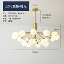 Nordic Glass Chandelier Pendant Light for Living Room - Modern Minimalist Home Decor by Ljojo
