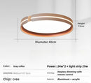 Ljojo 20" Smart Dimmable LED Ceiling Light for Bright Living Room