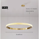 Modern Led Chandelier Pendant Light for Living Room, Ljojo Acrylic Indoor Lighting Fixture.