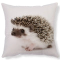 Ljojo Lovely Little Hedgehog Design Cushion Cover for 45*45cm Sofa Pillow