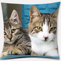 Cute Cat Series Pillowcase for Home Decor by Ljojo