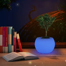 Ljojo 16-Color Waterproof Desk Lamp With Remote Control Plant Pot Table Light