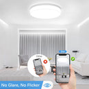 Ljojo Modern 48W LED Ceiling Light for Home Decor Living Room Bedroom Kitchen