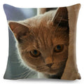 Cute Cat Print Fold Ear Pet Pillowcase for Cozy Home Decor by Ljojo