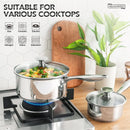 Ljojo 3-qt Stainless Steel Stew Pot with Lid, Induction Compatible, Thick Bottom