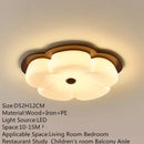 Minimalist Ceiling Lamp Modern Luminaires for Living Room Bedroom Decor by Ljojo