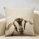 Animal Print Cushion 45x45cm for Sofa, Car Seat & Living Room Decor by Ljojo
