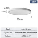 20 Inch Large Ceiling Light Dimmable LED Smart Control by Ljojo for Living Room Bedroom