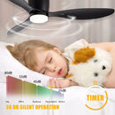 Ljojo Minimalist Ceiling Fan LED Light Motor High Air Volume Remote Control.