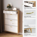 Ljojo™ Shoe Cabinet Storage with Drawers & Metal Legs