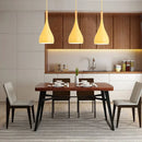 Nordic Small Pendant Lights Led Chandelier Macaron Color | Ljojo