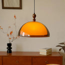 Brown Acrylic Pendant Lamp LED Chandelier for Bedroom Dining Room by Ljojo